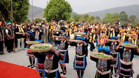 普洱宁洱基地环境图