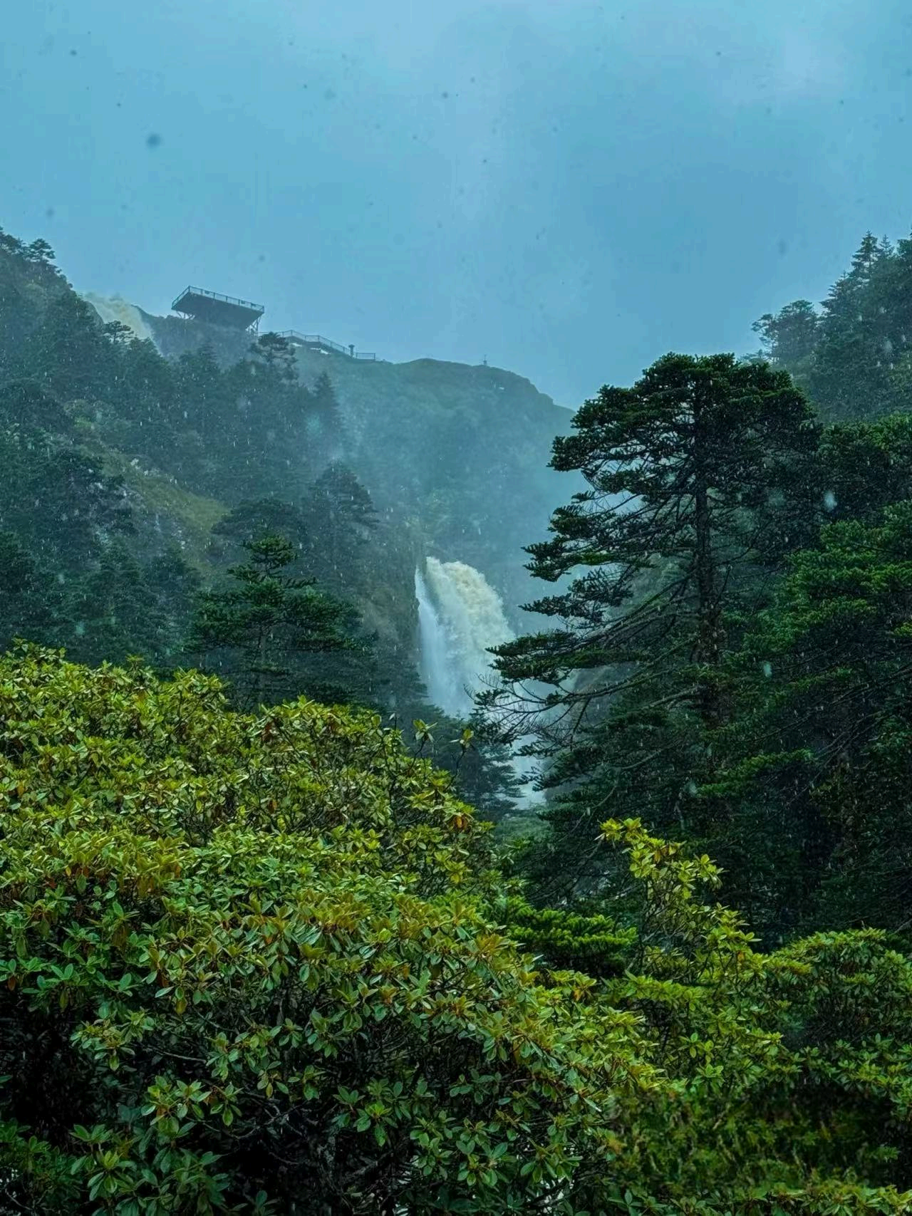 四海旅居·昆明轿子山1号四星基地(避暑) 环境图