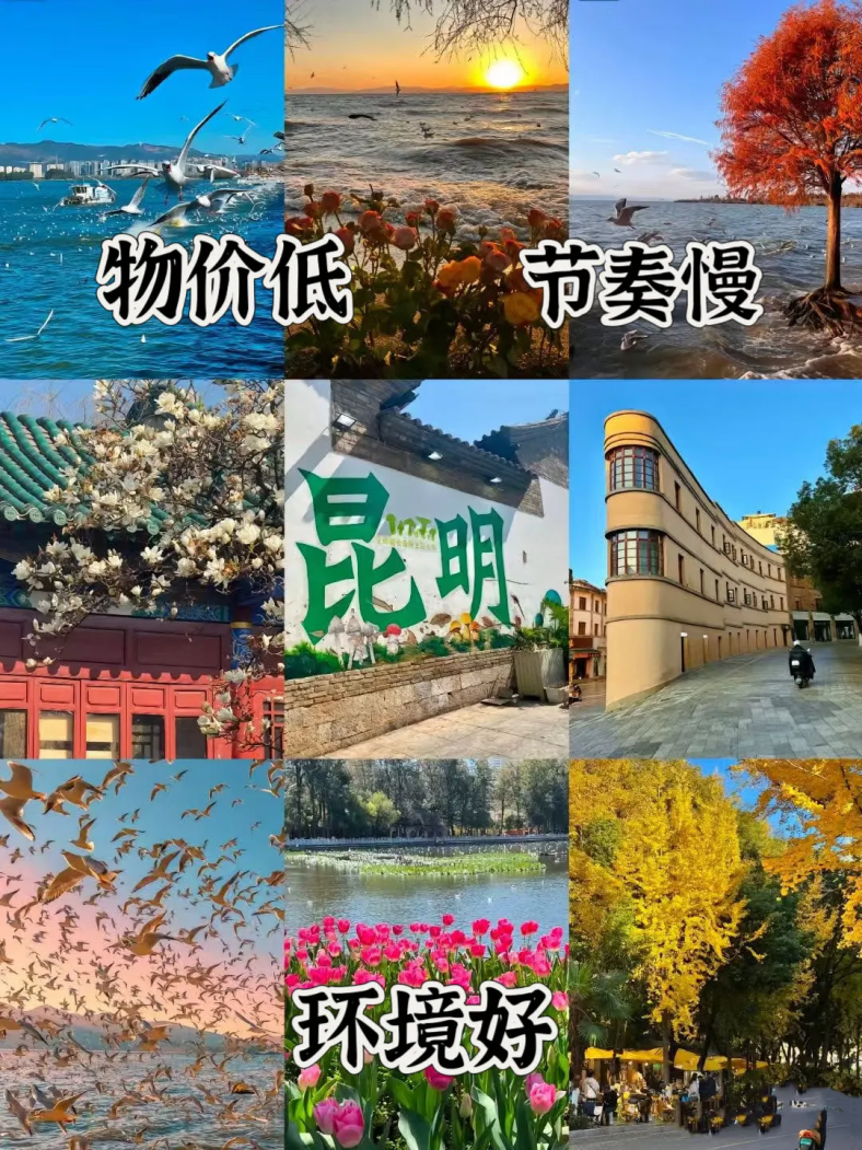 四海旅居· 昆明三号基地 环境图